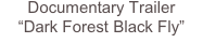 Documentary Trailer
“Dark Forest Black Fly”