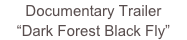 Documentary Trailer
“Dark Forest Black Fly”