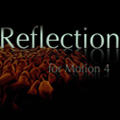 Reflection for Motion 4