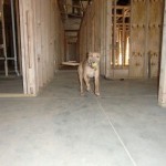 October-8_2010  - 02