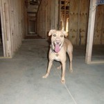 October-8_2010  - 04