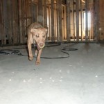 October-8_2010  - 08