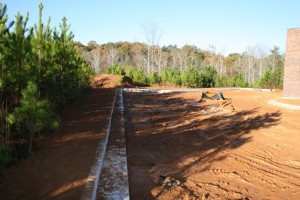 November_11_2010 - 06