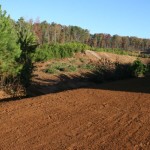 November_11_2010 - 10