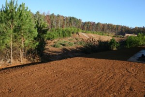 November_11_2010 - 10