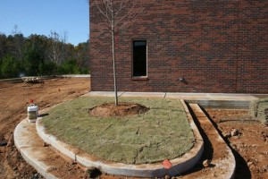 November_11_2010 - 24