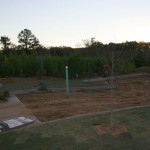 November_11_2010 - 45