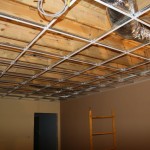 november 16_2010 - 04