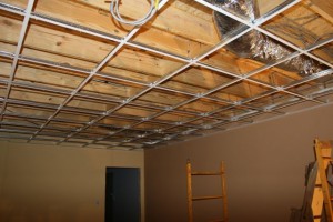 november 16_2010 - 04