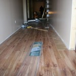 november 16_2010 - 08