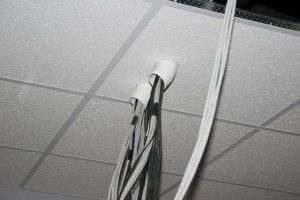 December 27, 2010 - 15