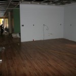 November 24 2010 - 06